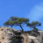 meseleroi view atv safari ierapetra