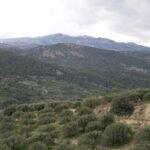atv safari ierapetra view